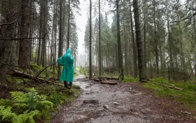 A walker in a rain cape on a forest trail