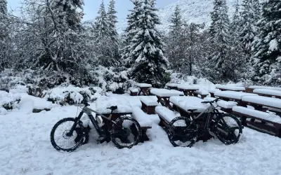 Fresh snow on spruce trees and benches below the Tatras in Zakopane